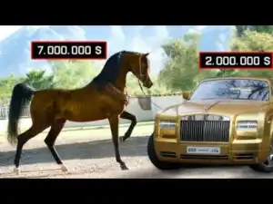 Video: Top 10 Most Expensive Horse
